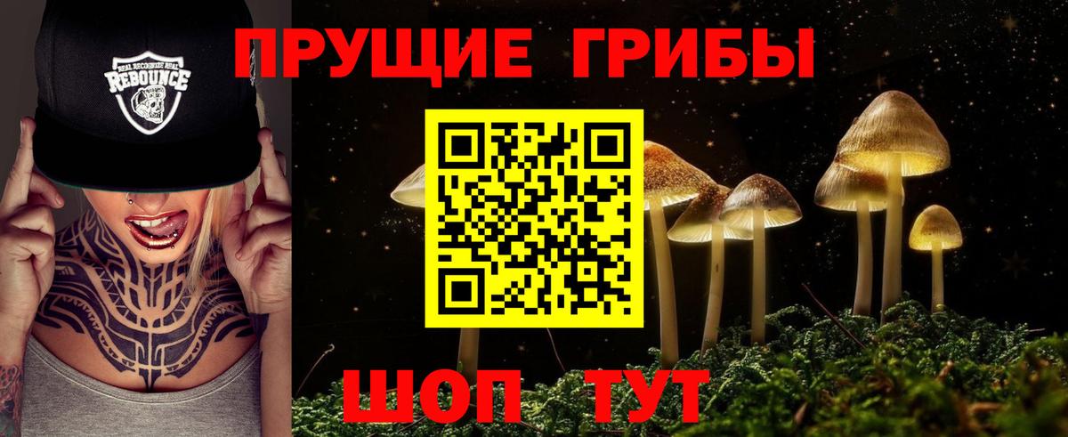 Назрань  Галлюциногенные грибы Psilocybe  Вход с VPN 