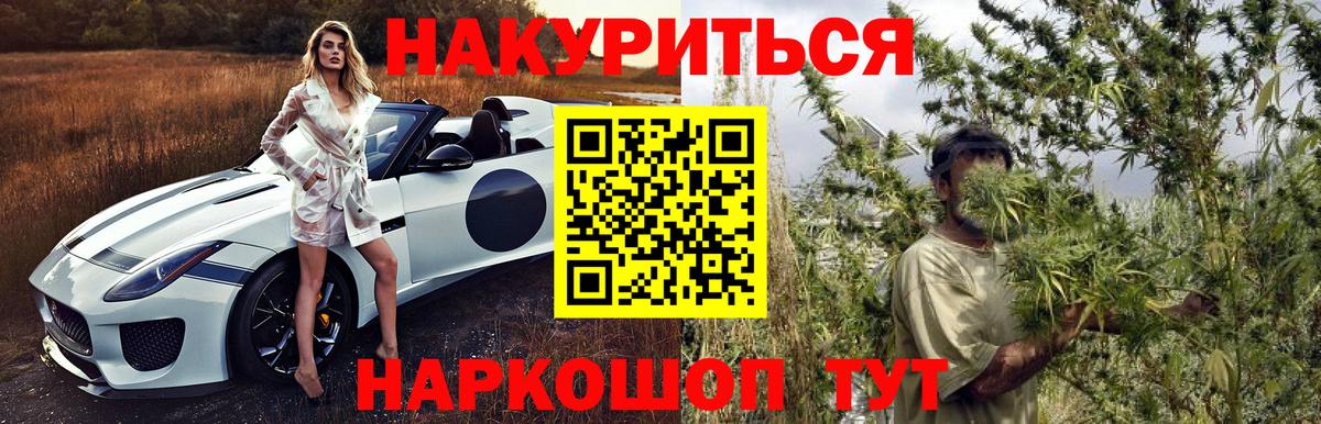 Шишки марихуана планчик  Шишки марихуана планчик  Назрань  Бошки Шишки Bruce Banner  Вход с VPN 